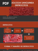 Fisiologia Sanguinea