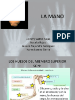 Huesos de La Mano