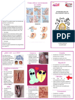 Enfermedades de Transmision Sexual Triptico