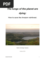 Climate Change. Amazon Rainforest. AMENAZAS AL AMAZONAS