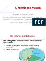 Cell Cycle, Mitosis and Meiosis