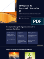 El Objetivo de Desarrollo Sostenible 13