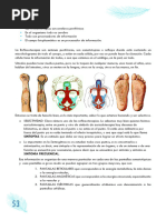 Que Hay de Nuevo en Sintergetica Transcripcion Junio 2018 PARTE 2 de 5