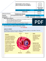 ACTIVIDAD BIOLOGIA CELULA EUCARIOTA 1ero BGU S2 3er Trimestre 2023