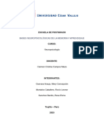 Informe Bases Neuropsicologicas de La Memoria y El Aprendizaje