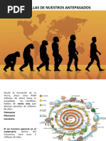 Prehistoria y Primeras Civilizaciones