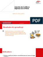 Evolución de La Micro Empresa en El Perú 17 y 18