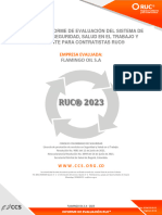 Auditoria RUC 2023