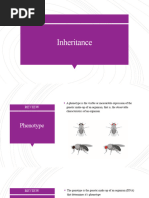 Genotypes and Dominance