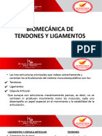 N°4 Tendones y Ligamentos - 1205605760