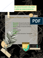 Informe N°3 Arelyy