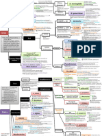 Microbiology Flowchart Dr. Nikita