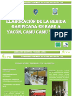 Elaboración de La Bebida Gasificada. Grupo Ayru