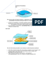 Eukaryotic Cell Structures Notes SV