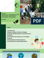 Manejo Ambiental y Prevencion Desastres