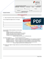 Ficha Nº3 - Sistema Cardio-Vascular