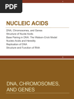 H.-Nucleic Acids