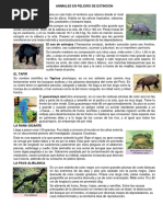 Animales en Peligro de Extincion