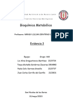 Bioquimica Metabolica