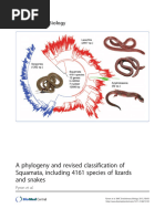 Pyron Et Al - 2013 - Phylogeny and Revised ClassificationSquamata - BMC - Evol.biology