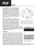 Tissue Engineering