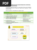 Proceso de Elaboracion para Crear Productos A Partir Del Loroco Tratado