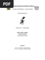 PRACTICA 1 - Micros