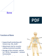 Bone-L