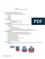 Odontogenesis e Histologia