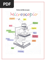 Trabajo Partes y Manejo Del Microscopio