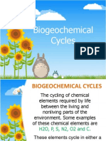 Biogeochemical Cycle