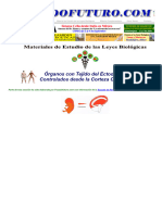 1 - Nueva Medicina Germanica Hamer Ectodermo Organos Tejidos NMG