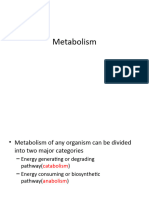 Microbial Metabolism 13