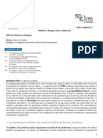 Membranas Biologicas