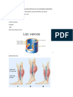 Tema 25 Insuficiencia Vascular Periferica de Los Miembros in