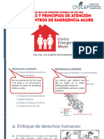 ENFOQUES Y PRINCIPIOS DE ATENCION EN LOS CEM - CFOCAP PWXEzH9