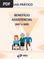 Guia Prático Benefício Assistencial (B87 e B88) - SIBE-PU