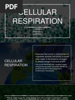 Q2 L4 Science 9 Cellular Respiration