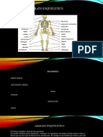 Sistema Esqueletico