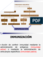 1 NMUNUOLOGIA - Gus - P3 - 2