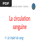 La Circulation Sanguine Le Trajet Du Sang