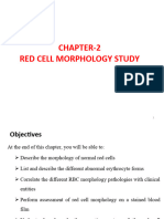 Haem II Chapter 2 RBC Morph