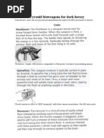 Tyranid Bioweapon Description For Dark Heresy