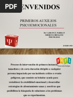 Primeros Auxilios Psicologicos