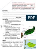 1ro Solo Ficha Hoja 2023 Ok.