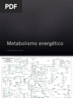 Metabolismo