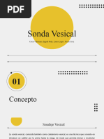 Sonda Vesical