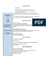 CV Programador PLC