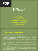 Wheat