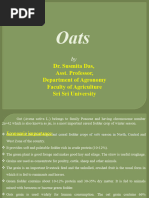 Oats